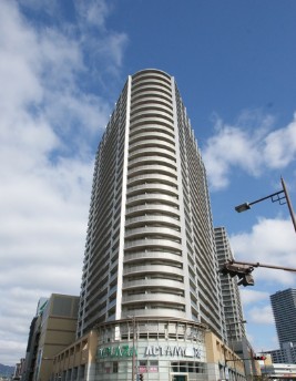 2333-1-181244.jpg