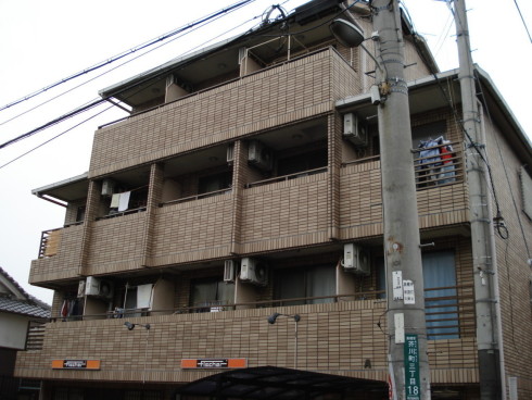 4191-1-133720.jpg