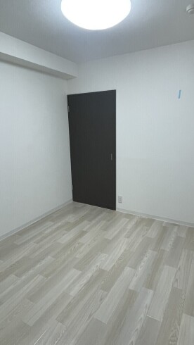 8293-4-141523.jpg