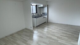 8293-3-141523.jpg