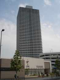 8336-1-133535.jpg