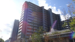 8539-1-153343.jpg